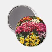 Vielfalt der Tulipen Magnet (Vorderseite/Rückseite)