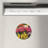 Vielfalt der Tulipen Magnet (In Situ (Geschirrspüler))