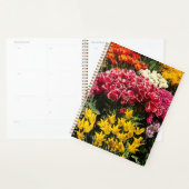 Vielfalt der Tulipen Planer (Anzeige)