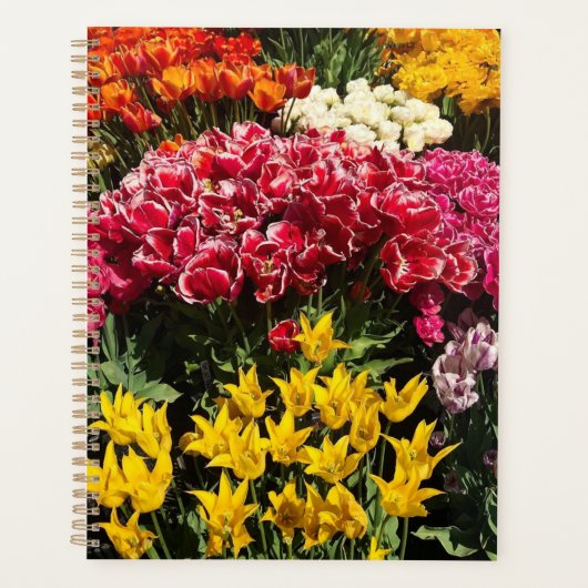 Vielfalt der Tulipen Planer (Vorderseite)