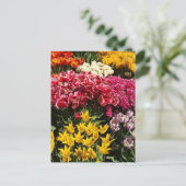 Vielfalt der Tulipen Postkarte (Stehend Vorderseite)