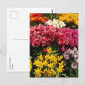 Vielfalt der Tulipen Postkarte (Vorne/Hinten)