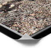 Vielfalt des Kongresses, Arizona Rattlesnakes Poster (Ecke)