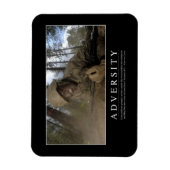 Vielfalt: Inspiration Magnet (Vertikal)