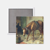 Vielfalt Magnet (Vorderseite/Rückseite)