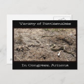 Vielfältige Schlangen im Kongress AZ... Postkarte (Vorne/Hinten)