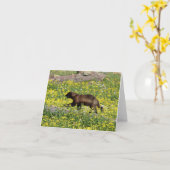 Vielfrass-Anmerkungs-Karte Karte (Gelbe Blume)