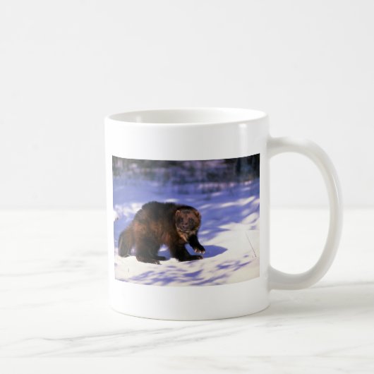 Vielfrass auf Schnee Kaffeetasse (Rechts)