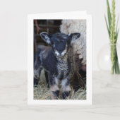 VIELLEICHT EIN "KID", ABER ICH KANN SAGEN **MERRY KARTE (Vorderseite)