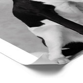 Vielleicht etwas zu essen? poster (Ecke)