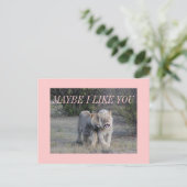 vielleicht postkarte (Stehend Vorderseite)