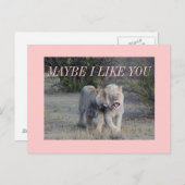 vielleicht postkarte (Vorne/Hinten)