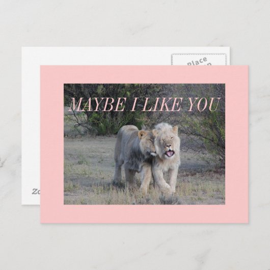 vielleicht postkarte (Vorne/Hinten)