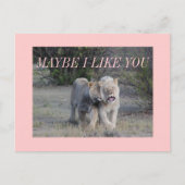 vielleicht postkarte (Vorderseite)