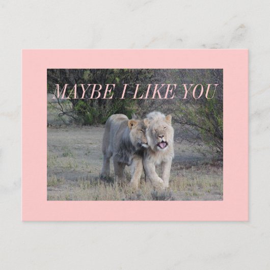 vielleicht postkarte (Vorderseite)