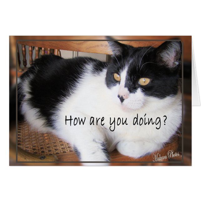 Vielseitig entscheiden Karte-Sie (Vorderseite (Horizontal))