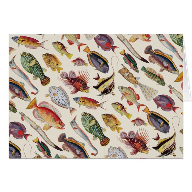 Vielzahl der Fische (Vorderseite (Horizontal))