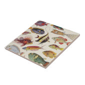 Vielzahl der Fische Fliese (Seite)