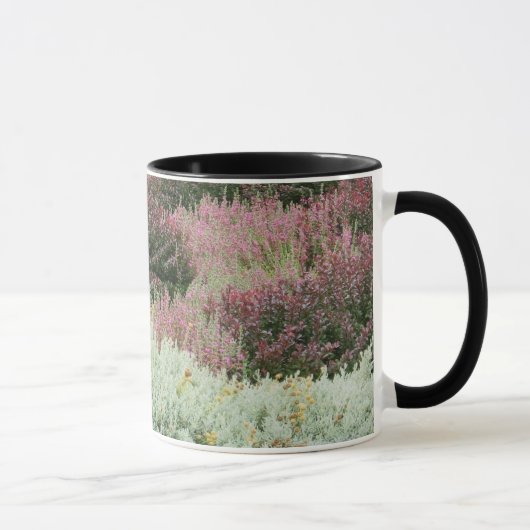 Vielzahl von Heide Tasse (Rechts)