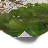 Vieques, Puerto Rico Poster (Ecke)