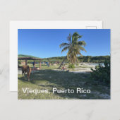 Vieques, Puerto Rico Postkarte (Vorne/Hinten)