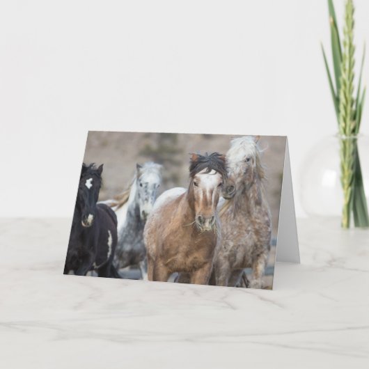 Vier Adoptionen - Galloping to Freedom Grußkarte Karte (Vorderseite)