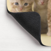 Vier Amerikaner Shorthair Kätzchen Mousepad (Ecke)