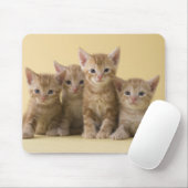 Vier Amerikaner Shorthair Kätzchen Mousepad (Mit Mouse)