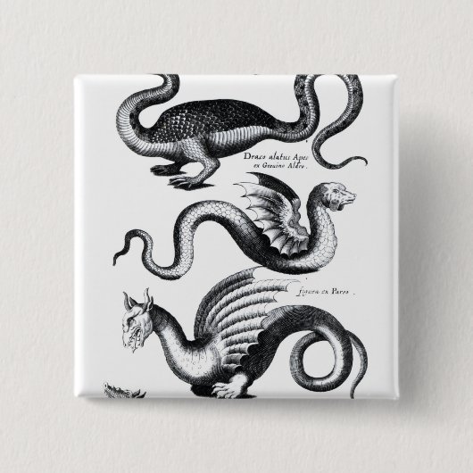 Vier Arten Drache Button (Vorderseite)