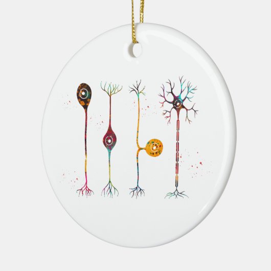 Vier Arten von Neuronen Keramik Ornament (Links)