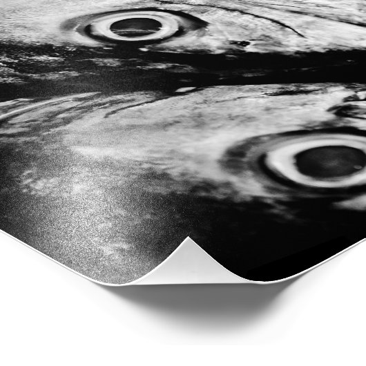 vier Augen Fotodruck (Ecke)