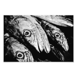 vier Augen Fotodruck