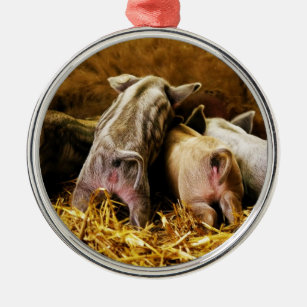 Vier Baby-Ferkel Mangalitsa Schweine, die Hintern Ornament Aus Metall