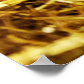 Vier Baby Piglet Mangalitsa Hogs zeigen Hintern Poster (Ecke)