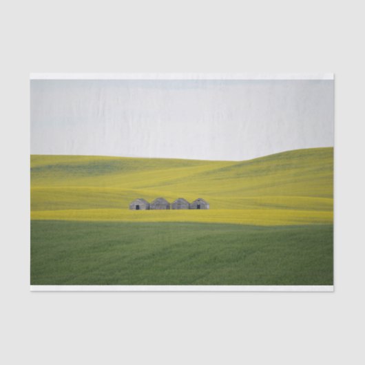 Vier Barnen schlugen sich in gewaltigen, rollenden Seidenpapier (Vorderseite)