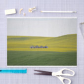 Vier Barnen schlugen sich in gewaltigen, rollenden Seidenpapier (Handwerk)