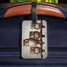 Vier bezaubernde Eulen