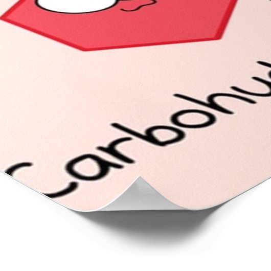 Vier Biomoleküle Poster (Ecke)