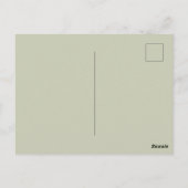 Vier Birken in Farbe, Botanik. Postkarte (Rückseite)