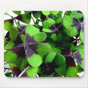 Vier-Blatt-Klee-Shamrock-St.-Patricks-Glücks Mousepad