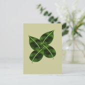 Vier Blätter Posctcard Postkarte (Stehend Vorderseite)