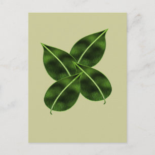 Vier Blätter Posctcard Postkarte