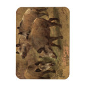 Vier Boars in einer französischen Landschaft (von Magnet (Vertikal)