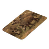 Vier Boars in einer französischen Landschaft (von Magnet (Linke Seite)