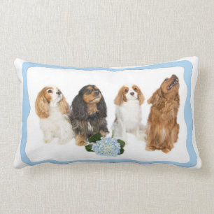 Vier Cavalier King Charles Spaniels Rücken Kissen