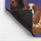 Vier Cavalier-Spaniels Herbst-Nacht-Mauspad Mousepad (Ecke)