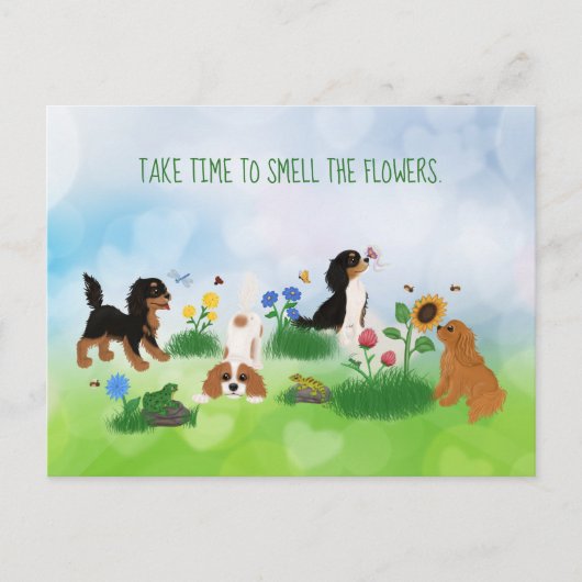 Vier Cavalier-Spaniels in einem Bereich von Blume Postkarte (Vorderseite)