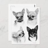 Vier Chihuahuas realistische Handgemälde Postkarte (Vorne/Hinten)