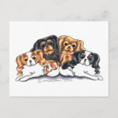 Vier CKCS Postkarte (Vorderseite)