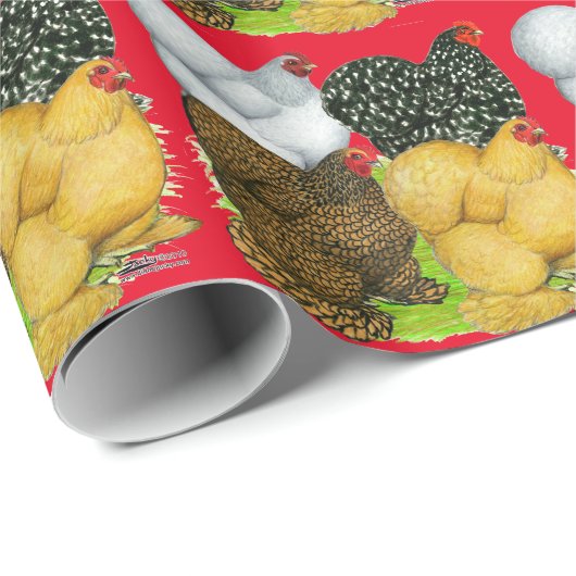 Vier Cochin-Hennen Geschenkpapier (Rolleneckpunkt)